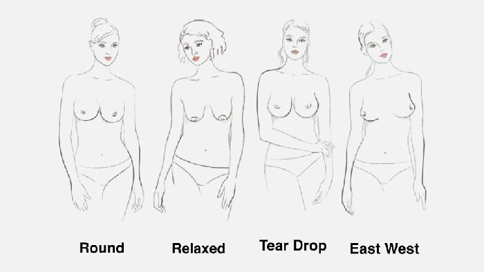 Breast Shape Dictionary: Understanding Your Breast Shape